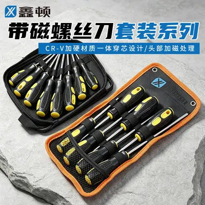 Screwdriver set, magnetic, slotted and Phillips bits