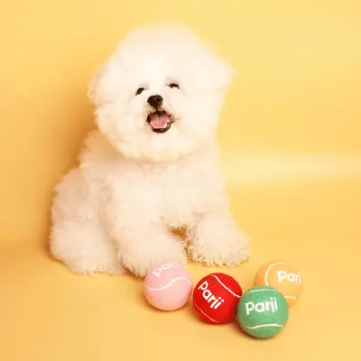Squeaky Interactive Dog Tennis Ball Toy for Small and Medium Dogs - 4