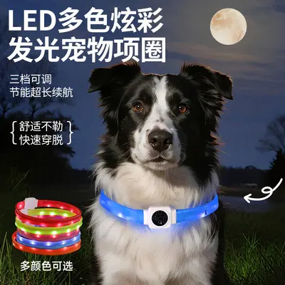 LED Pet Light-Up Collar, TYPE-C Rechargeable Silicone, USB Flashing Dog Collar