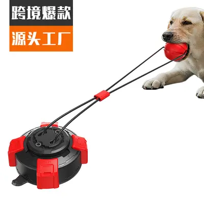 Dog Toothbrush and Chew Toy with Suction Cup and Rope