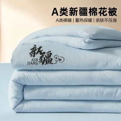 Xinjiang Cotton Quilt, Thickened Single Size, Four-Season - 9