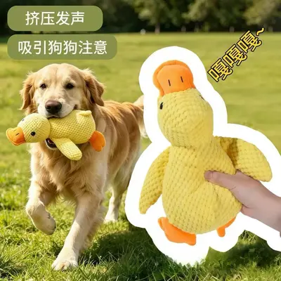 Squeaky Tennis Ball Bottle Dog Toy, Bite-Resistant Interactive Pet Toy - 12