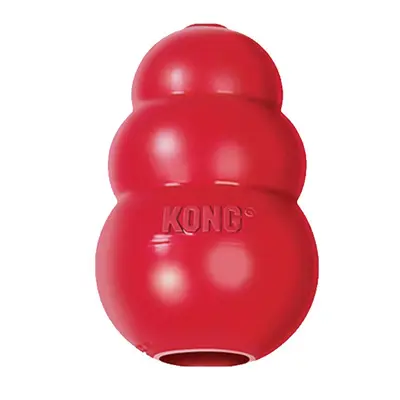 KONG Dog Toy, Pumpkin Leak-Proof Food Puzzle, Bite-Resistant