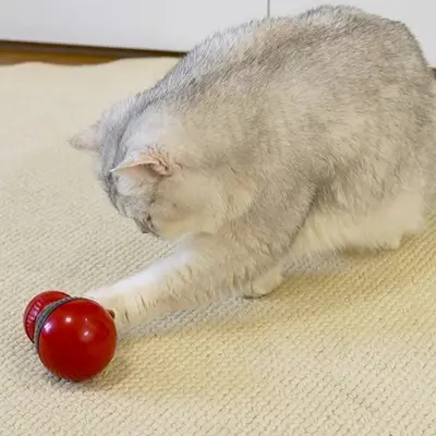 Katzenspielzeug, drehbarer Ball mit Geräusch und Futterspender - 5