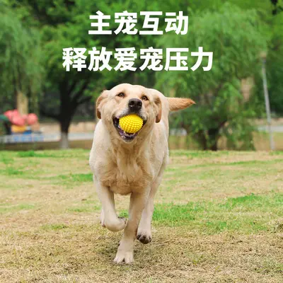 Squeaky Dog Ball Toy for Medium and Large Dogs, Durable Chew Resistant - 3