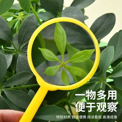 60mm Colorful Handheld Magnifying Glass for Kids, Science Experiments
