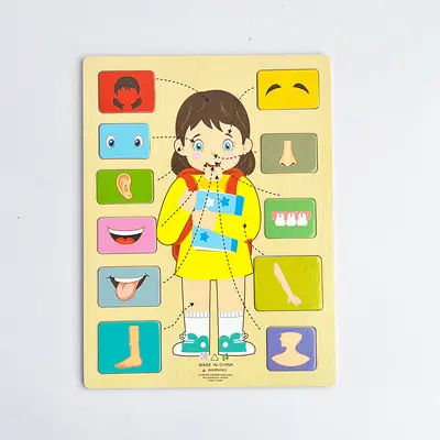 Kinder-Puzzle zur Körperanatomie mit Organen und Berufen