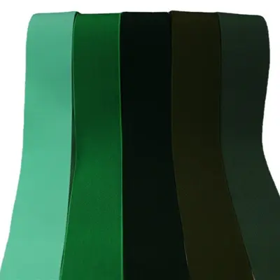 Farbiges Polyester-Webgummiband, nylonähnlich, Bekleidungszubehör - 6