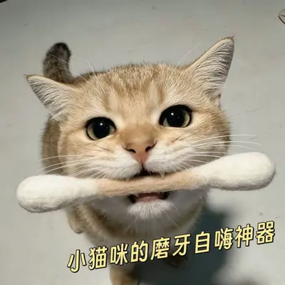 Cat Toy 100% Pure Wool Cotton Swab Cat Teaser with Catnip