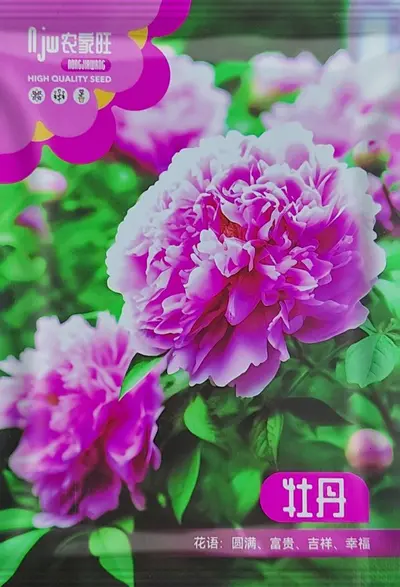 Peony Flower Seeds, Cold-Resistant and Easy to Grow for Garden and Balcony - 7