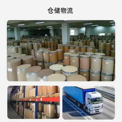 玉米蛋白粉60% 盛元泰供应食品级玉米提取植物蛋白粉 量大从优