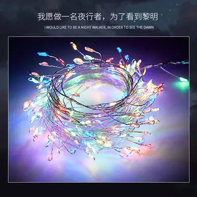LED Copper Wire Fairy String Light, Plug-In, Christmas Decoration - 9