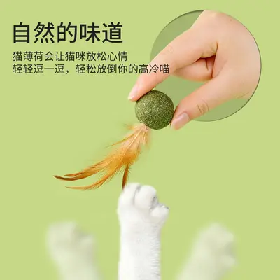 Catnip Feather Ball Cat Toy with Chew Snack and Cat Grass - 4
