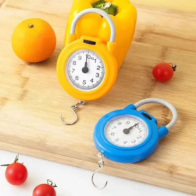 Spring Scale, High Precision Handbag Scale, Convenient Household Express Scale, Portable Small Hook Scale, Small Handbag Mechanical Scale