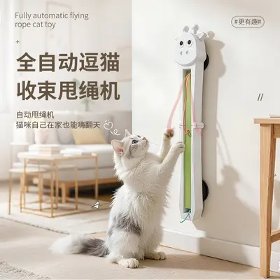 Automatic Cat Toy Rope Swinging Machine, Door-Hanging