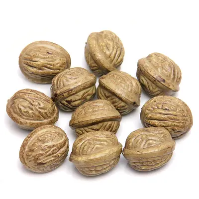 Plastic Simulated Walnut Model, Fake Dried Fruit Prop for Food Photography