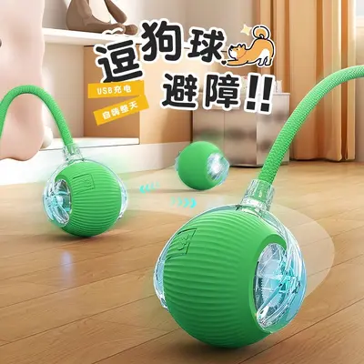 Electric Automatic Dog Walking Ball, Chew-Resistant Smart Dog Toy - 1