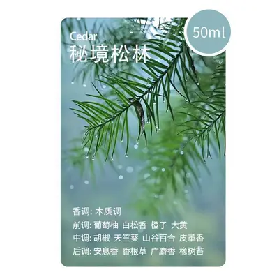 Rechargeable Smart Waterless Aroma Diffuser, Model J2A - 11