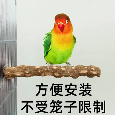 Parrot Standing Perch Stand with Claw Grinding Wood Stick