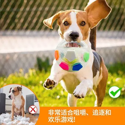 Dog toy balls, tennis and soccer, elastic rubber - 5