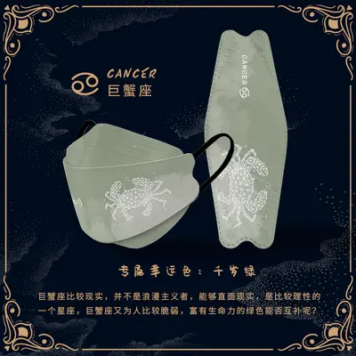 Twelve Zodiac Design KN95 Mask, 3D Three-Dimensional, Individually Packed, Boxed - 12