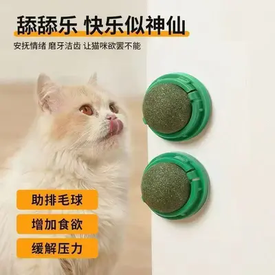 Catnip Ball Cat Toy with Molar Stick, Self-Play - 3