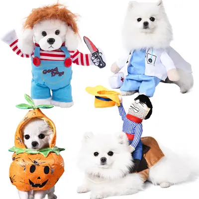Küçük ırk köpek Cadılar Bayramı kostümü, komik