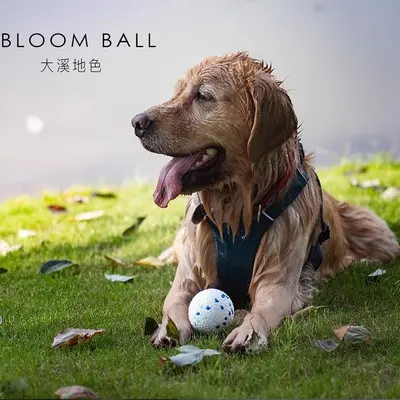 Köpek oyuncak topu, dayanıklı, ısırmaya dayanıklı, ETPU, yüksek zıplayan