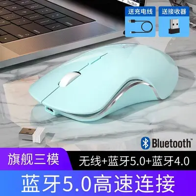 Sessiz Kablosuz Fare Spot Bluetooth Çift Modlu Şarj Morandi Macaron Şarj Oyunu Ofis Kızlar Toptan - 12
