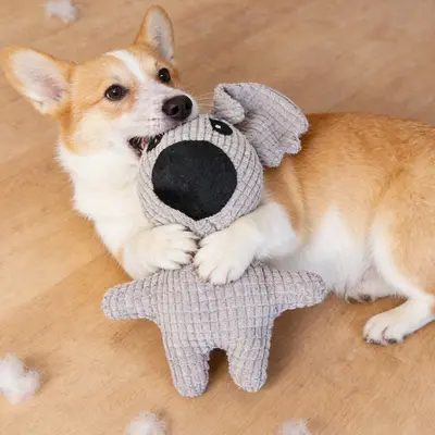 Squeaky Dog Toy, Pet Fun Toy, Cute Design - 2
