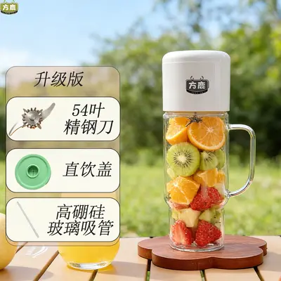 Fruit juicer, portable, large capacity - 12