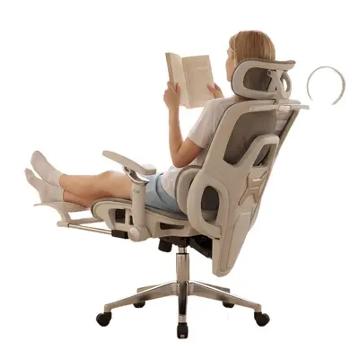 Ergonomic Reclining Computer Chair with Lumbar Support