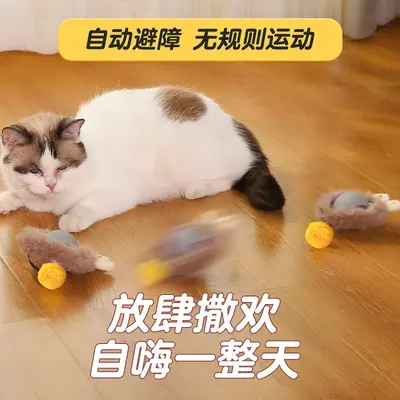 Evcil hayvan malzemeleri kedi oyuncakları otomatik kedi kızdırma topu zıplayan top atlama topu kedi kendi kendine zevk sorgun giderici kedi kızdırma topu ipli