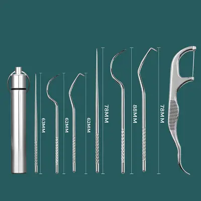 Stainless Steel Toothpick and Dental Floss Set, Portable Tube