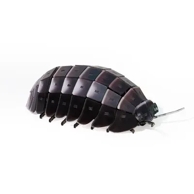 Acrylic 3D Insect Puzzle Model with Building Blocks - 11