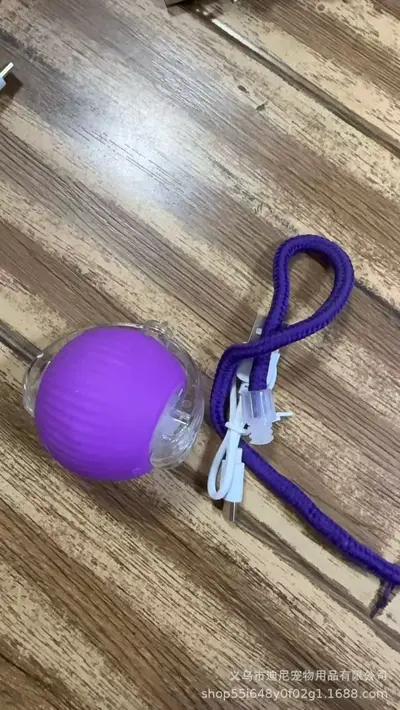 Smart Electric Rolling Cat Ball Toy with Rope for Cats and Dogs - 10