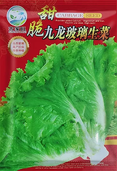 Spring Vegetable and Fruit Seeds: Lettuce, Beans, Corn, Watermelon, Tomato, Pepper - 9