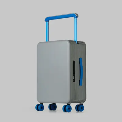 Customizable Trolley Luggage, Durable with Silent Spinner Wheels - 12