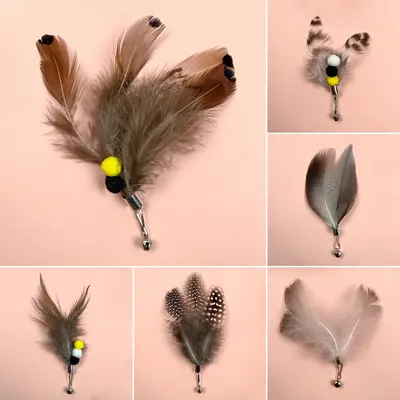 Feather Cat Teaser Wand with Bell, Steel Wire Long Handle