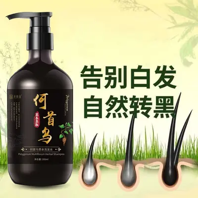 Polygonum Multiflorum Herbal Shampoo, Gray to Black Hair Reversal, Anti-Dandruff - 1