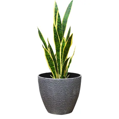 Thickened Plastic Resin Flower Pot Nordic Minimalist Extra-Large Imitation Ceramic Stone Living Room Balcony Tree-Planting Tall Barrel Flower Pot Manufacturer