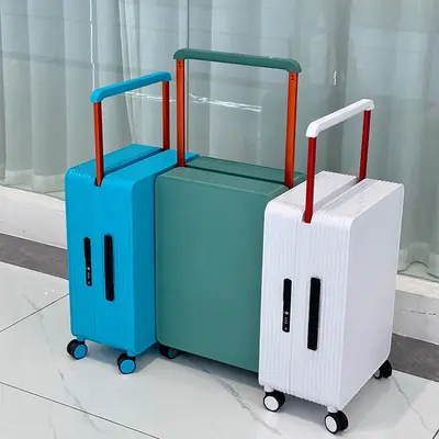 1001 20 inch and 24 inch Trolley Luggage Set