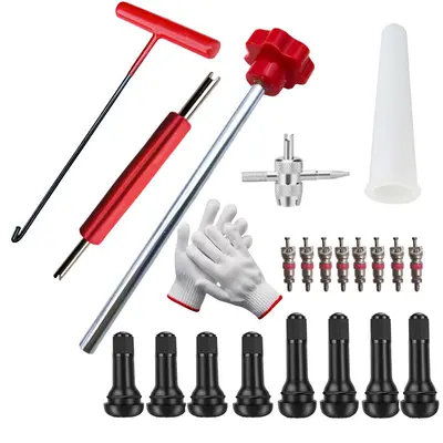 Tire Valve Core Removal and Installation Tool Kit, Tire Repair Valve Wrench - 10