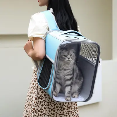 Taşınabilir Şeffaf Kedi Sırt Çantası Nefes Alabilir
