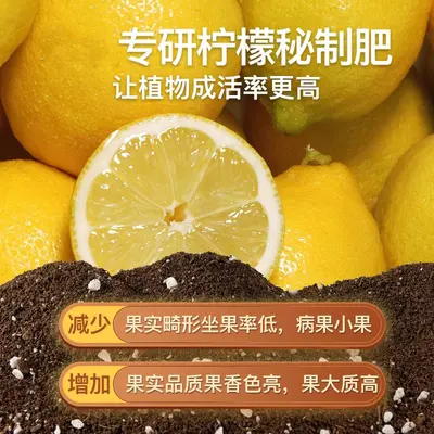 Limon kokulu bitki toprağı, genel amaçlı, gevşek ve havalandırmalı