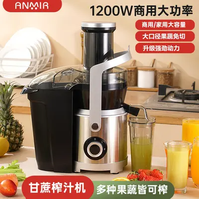 Fruit juicer, fully automatic, large-capacity, commercial - 10