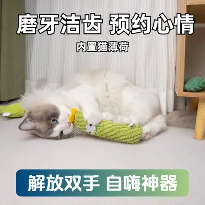 Kedi Nanesi Kaktüs Peluş Kedi Oyuncağı Kucak Yastığı