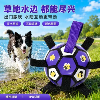 Köpek diş kaşıma topu, kauçuk, küçük ve orta ırk köpekler için - 3