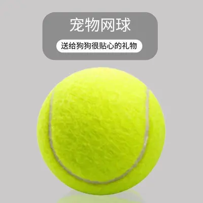Elastik Tenis Topu Köpek Oyuncağı, Isırmaya Dayanıklı, Dış Mekan Eğitim Seti - 4