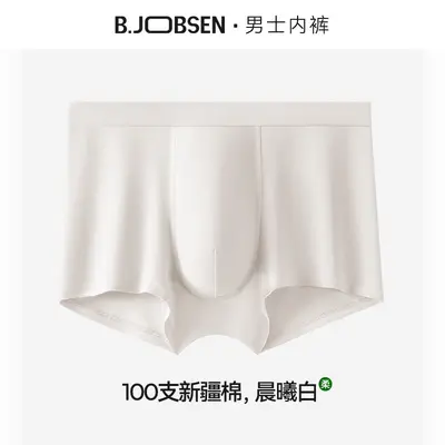 Men's Boxer Briefs, Xinjiang Cotton with Silk Blend, Antibacterial, Thin, Plus Size - 12